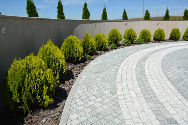 Best Driveway Repair Near Me  in Meadowbrook, AL